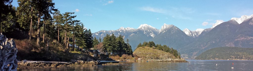 Wooded island shore with snow capped mountains in the background