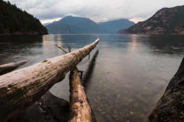 Two logs on a beach pointing towards mountains in the distance